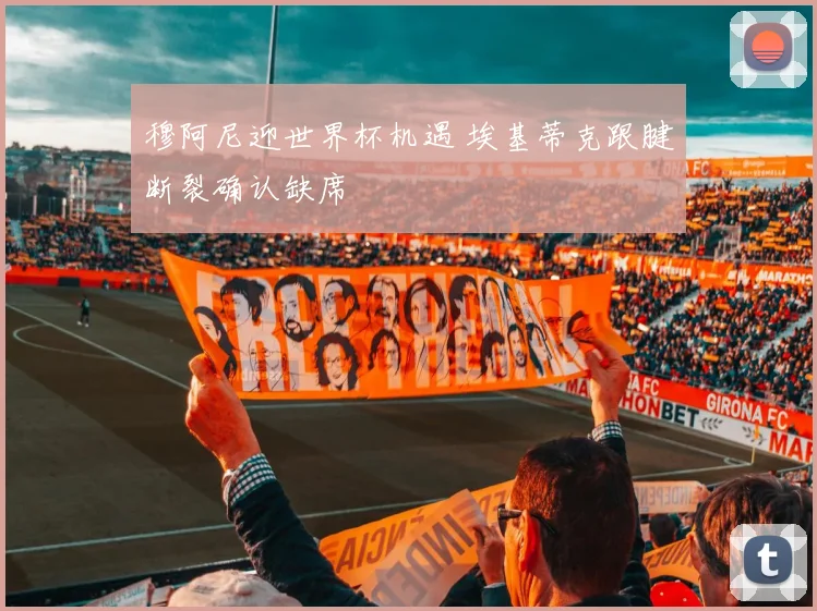 穆阿尼迎世界杯机遇 埃基蒂克跟腱断裂确认缺席